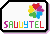 Savvytel Logo