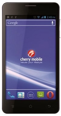 Cherry Mobile Titan W500