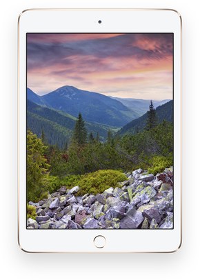 Apple iPad Mini 3 TD-LTE A1601 16GB ( iPad 4,9)